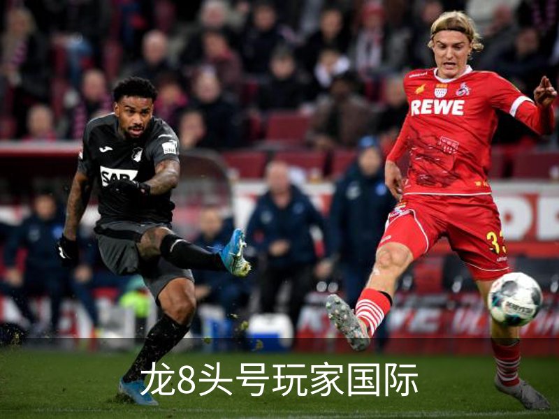 龙8头号玩家国际简介